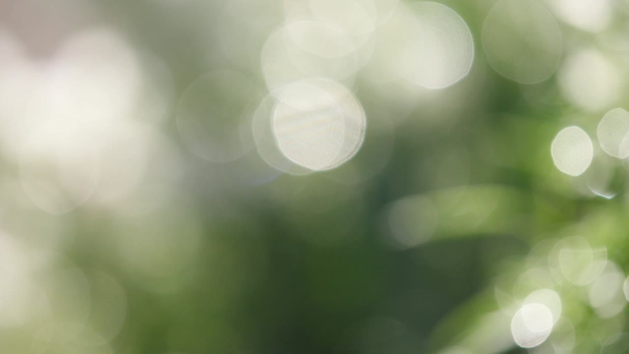 el video de fondo verde. brillo limpio.