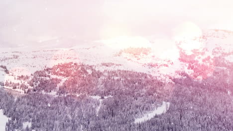 spots of light against snow falling over multiple trees on winter landscape