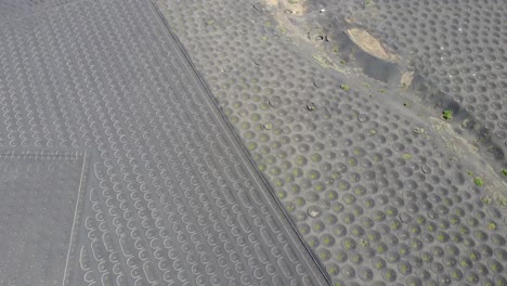 drone-shot-of-the-wine-growing-area-in-Lanzarote