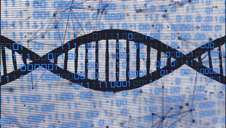 Animation-Eines-DNA-Strangs-Mit-Binärer-Kodierung-Der-Datenverarbeitung-über-Ein-Netzwerk-Von-Verbindungen