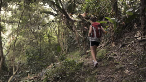 mujer caminando en la jungla