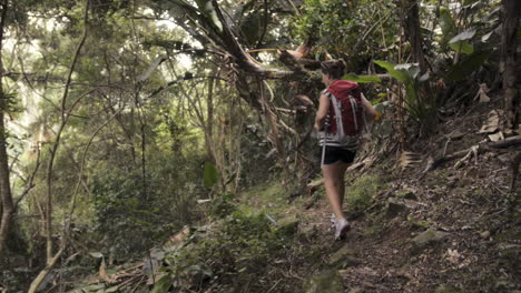 woman hiking in jungle