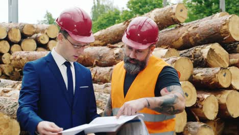 two engineers study the drawings with scaffolding in the background