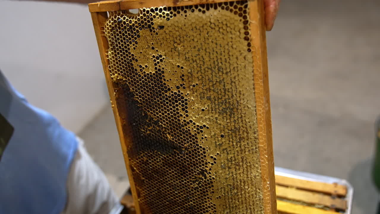 Honey frame with half-sealed cells of healthy product. Close up. Electric knife is used to uncover honeycombs to extract honey. Close up.