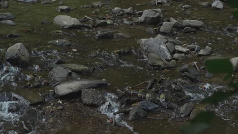 Water-flowing-past-large-stones,-Wissahickon-Creek,-Philadelphia