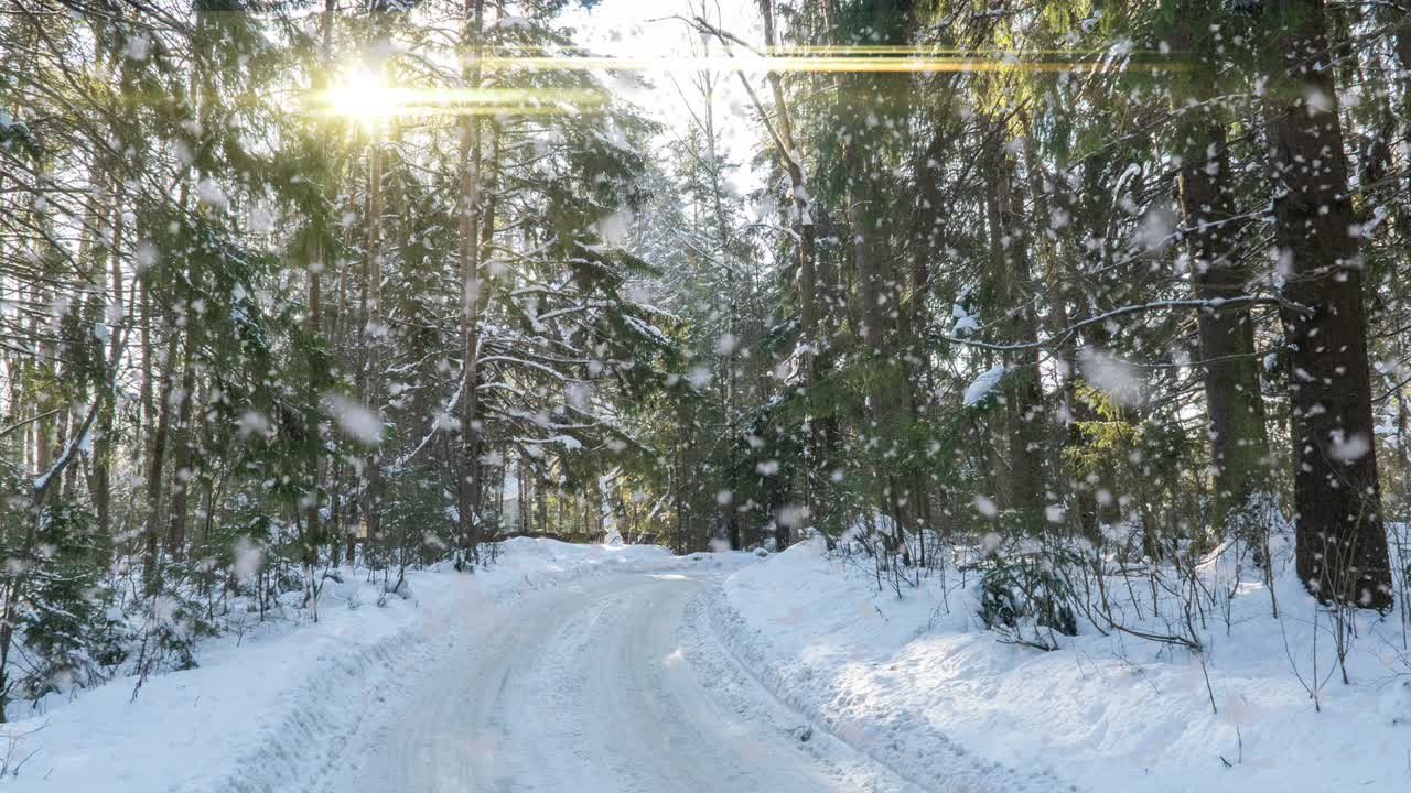 눈 인 숲. 눈 은 겨울 숲에서 위에서 아래로 볼 수 있는 풍경, 자연 풍경, 얼어붙은 숲, 겨울의 숲에서 이 나는 풍경