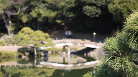 jardín japonés con puente y gente