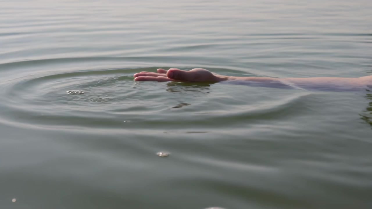 Breaking surface, bare forearm skimming lake, forming ripple rings and shore vegetation, copy space