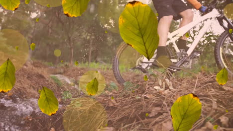 Animación-De-Hojas-Verdes-Cayendo-Sobre-Un-Hombre-Caucásico-Montando-Bicicleta-De-Montaña-En-El-Bosque