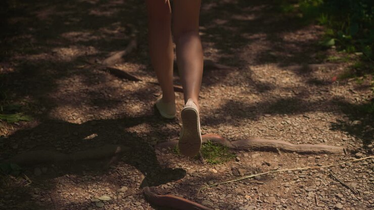 Female feet step on sunlit dirt path in forest closeup. Woman spends vacation travelling to natural attractions. Lady hiker walks hiking route backside view slow motion