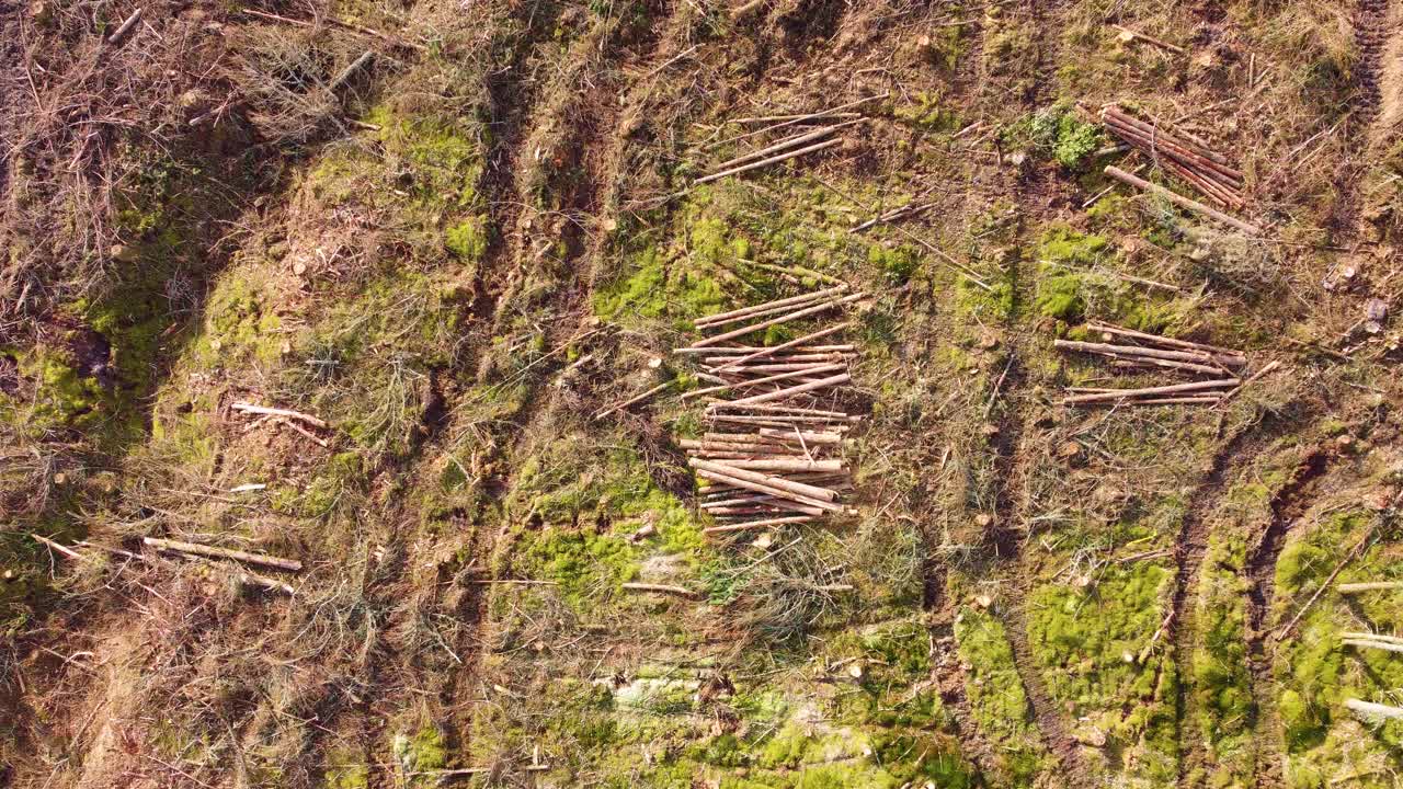 Descending Aerial Towards Log Pile. Nature Cleared for Commercial Gain. Impact of logging and environmental desctruction. Climate change, industrial impact, environmental conservation