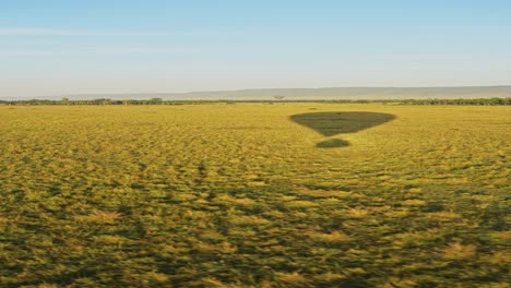 hot air balloon flight on africa safari, hot air balloon ride over savanna on luxury african safari holiday vacation in maasai mara national park in masai mara in kenya, flying over the savannah