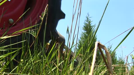 A-Wormseye-View-Of-A-Grassy-Field-As-A-Red-Mower-Passes-By