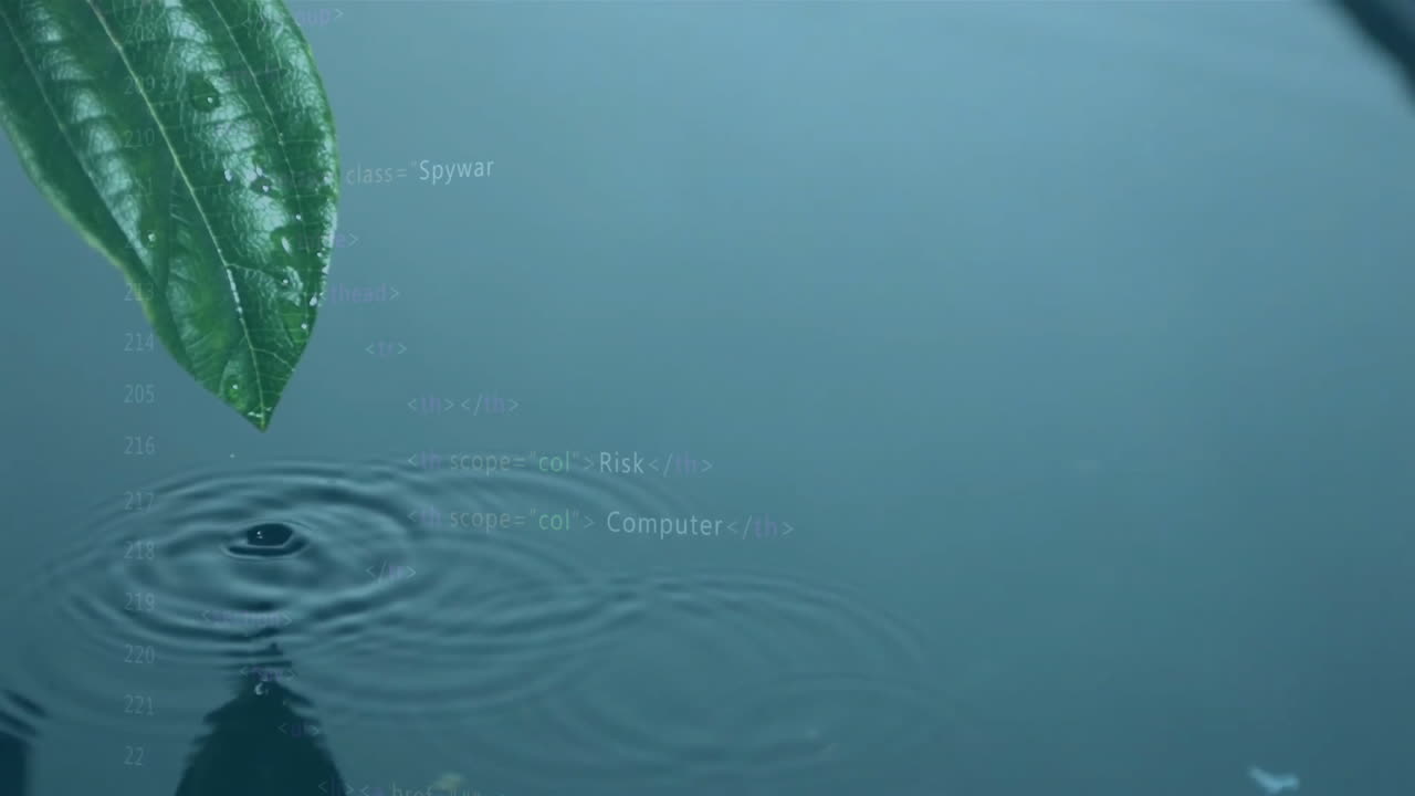 잎에서 물이 흘러내리는 과학 데이터 처리의 애니메이션