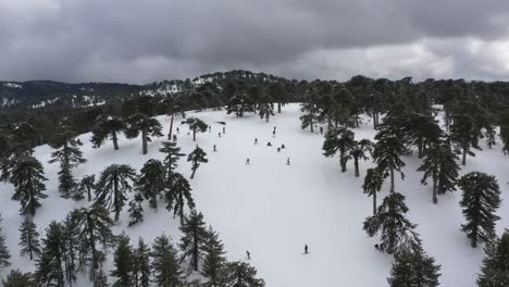 Montañas-Nevadas-Y-Bosques-De-Pinos-En-El-Mediterráneo