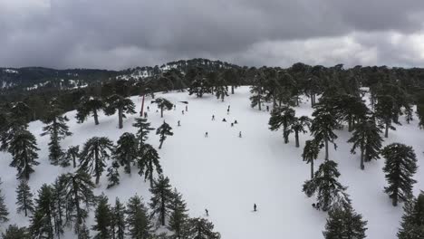montañas nevadas y bosques de pinos en el mediterráneo