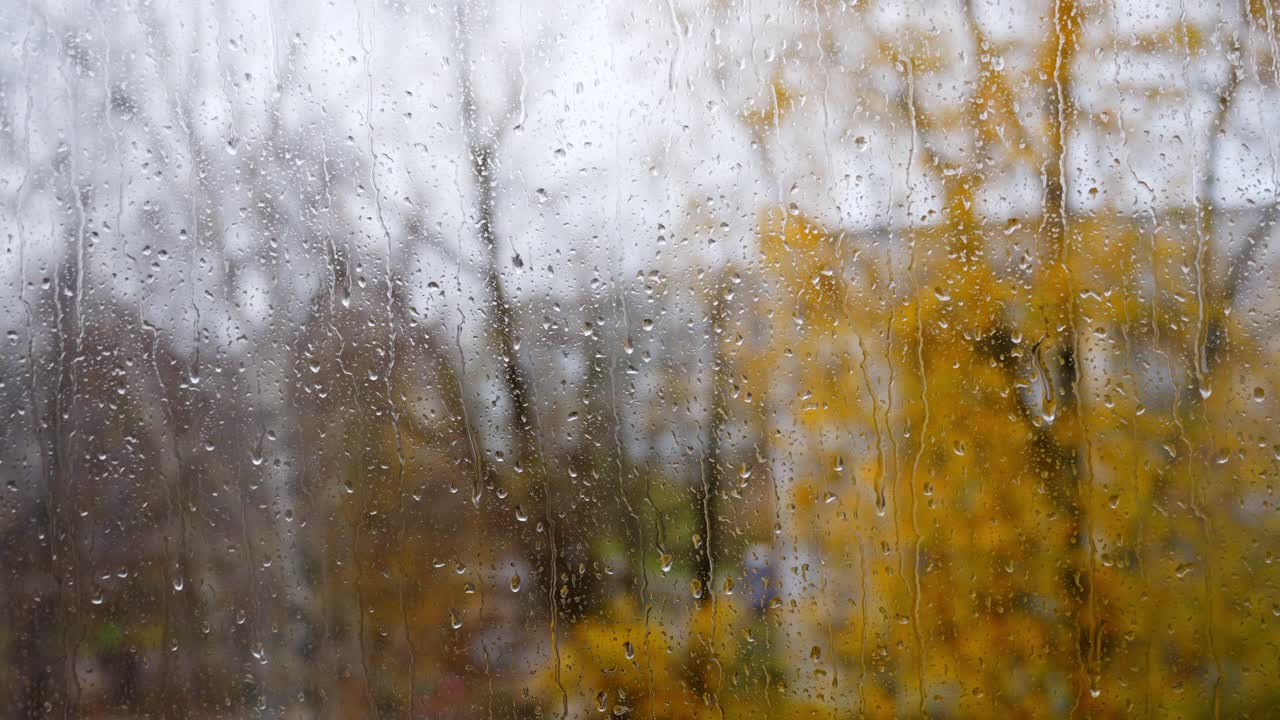 Detail shot of rain, drops falling on a glass window with autumn trees outside