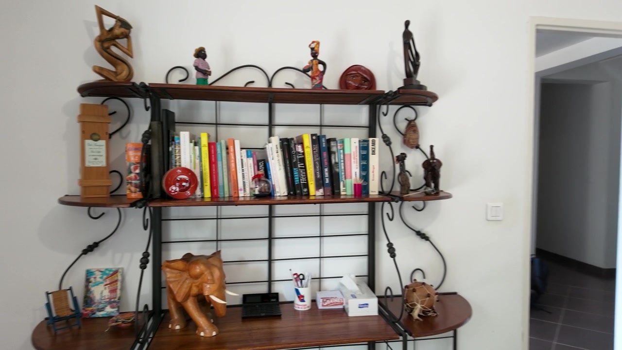 Ein langsamer Kameraschwenk enthüllt ein dekoratives Bücherregal, gefüllt mit Büchern und afrikanischen Kunstskulpturen.