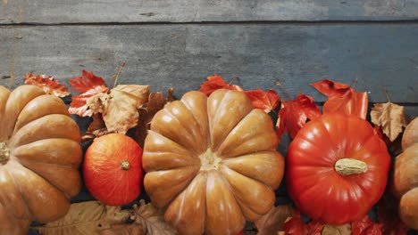 video of pumpkins and autumn leaves on wooden background