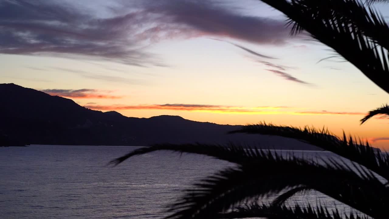 야자수 실루엣과 바다의 고요하고 아름다운 편안한 슬로우 모션 풍경