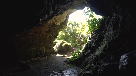 slowmo - walking through cave in new zealand with outside light