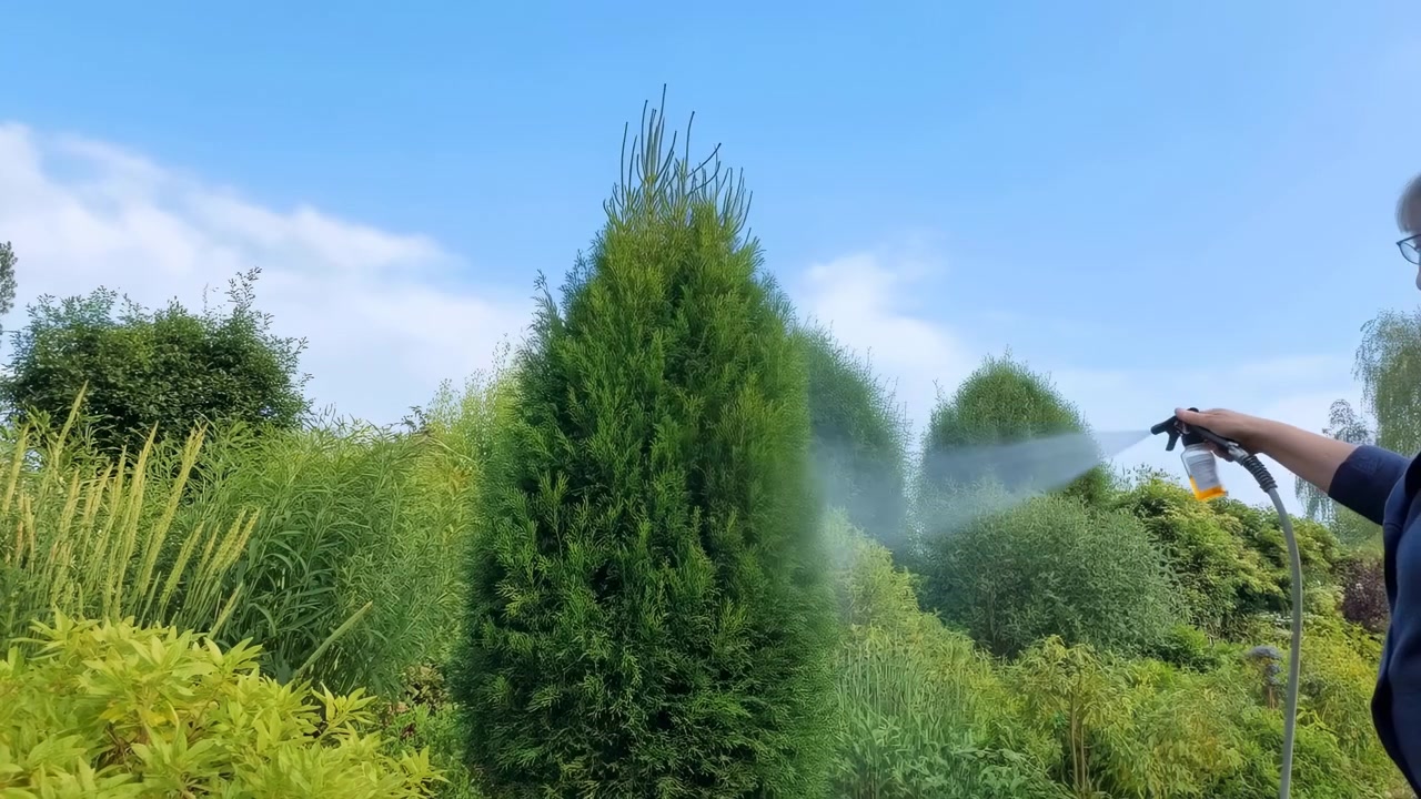 Una persona annaffia le piante in un giardino all'aperto con vegetazione e cielo blu. La scena include un annaffiatoio, alberi, terra e la texture delle piante, ripresa da una prospettiva laterale, con accenti verdi e blu e dettagli nitidi.