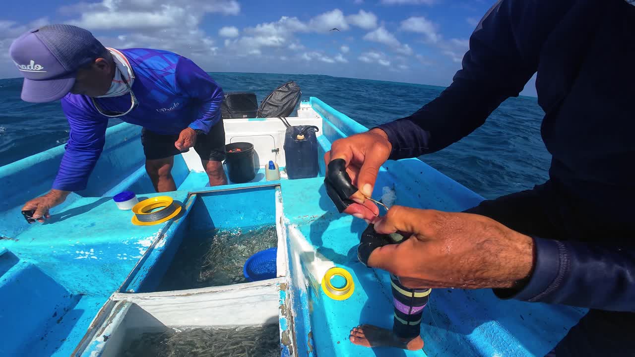 Primer plano de pescadores artesanales seleccionando sardinas frescas de un tanque de cebo y aparejando anzuelos en un barco azul en mar abierto, mostrando la preparación tradicional de la pesca