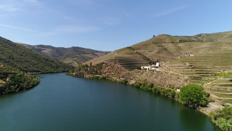 Campos-De-Uva-En-El-Valle-Del-Duero,-Portugal.