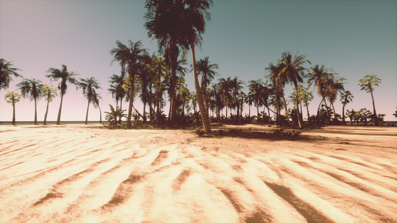 열대 해변 일몰