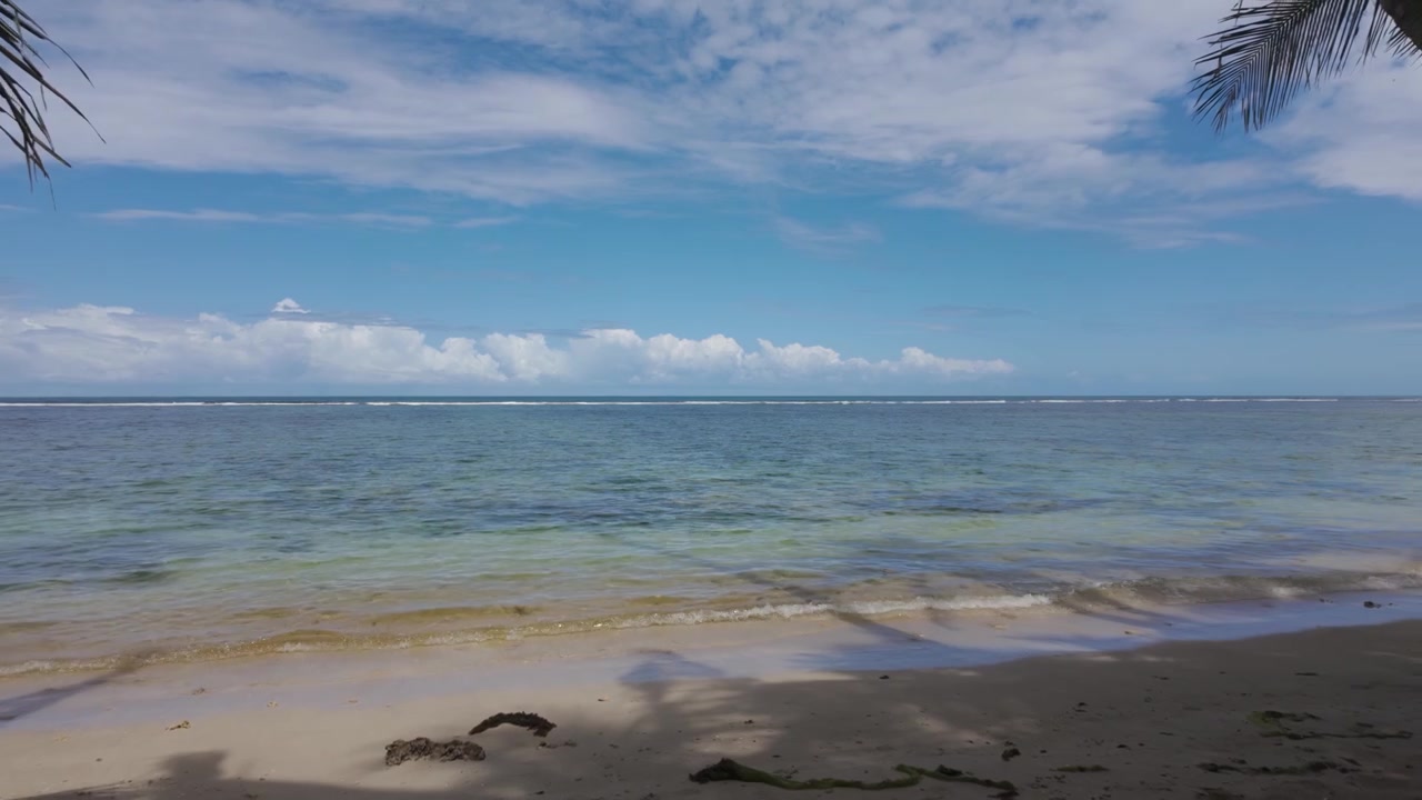 Vista serena della spiaggia nel Parco Nazionale di Cahuita, Costa Rica, con onde oceaniche calme e palme lussureggianti sotto un cielo luminoso. Panoramica a destra.