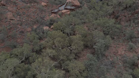 woman waving at drone flying away from viewing platform at kings canyon walk. watarrka national park, nt, australia. aerial