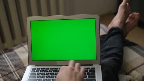 a person works remotely. green laptop screen. selective soft focus. the concept of distance education. surfing the internet. pov video.