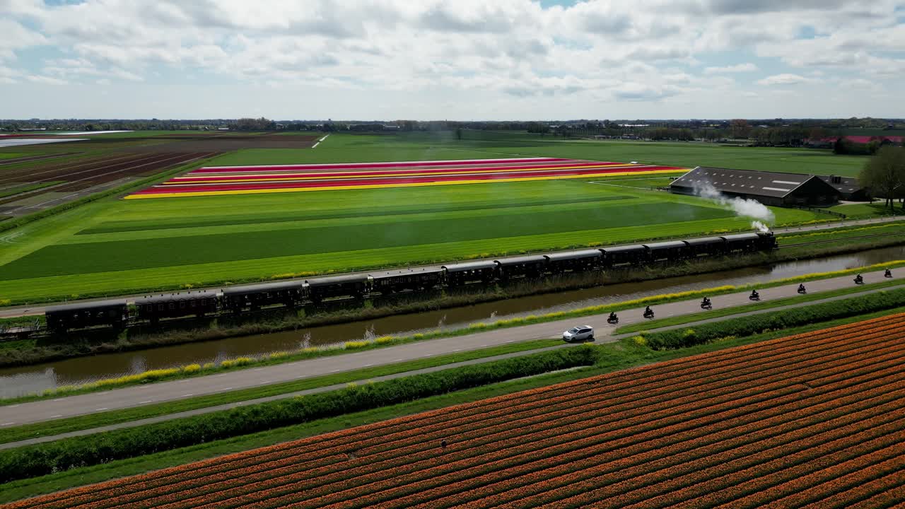 Filmato drone 4K sopra un tram tradizionale e campi di tulipani. Perfetto per viaggi, spot pubblicitari, social media, paesaggi panoramici e temi primaverili