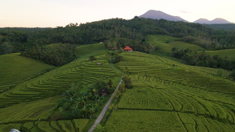 Panorama-Of-Jatiluwih-Rice-Terraces-At-The-Valley-Of-Batukaruh-Mountains-In-Bali,-Indonesia