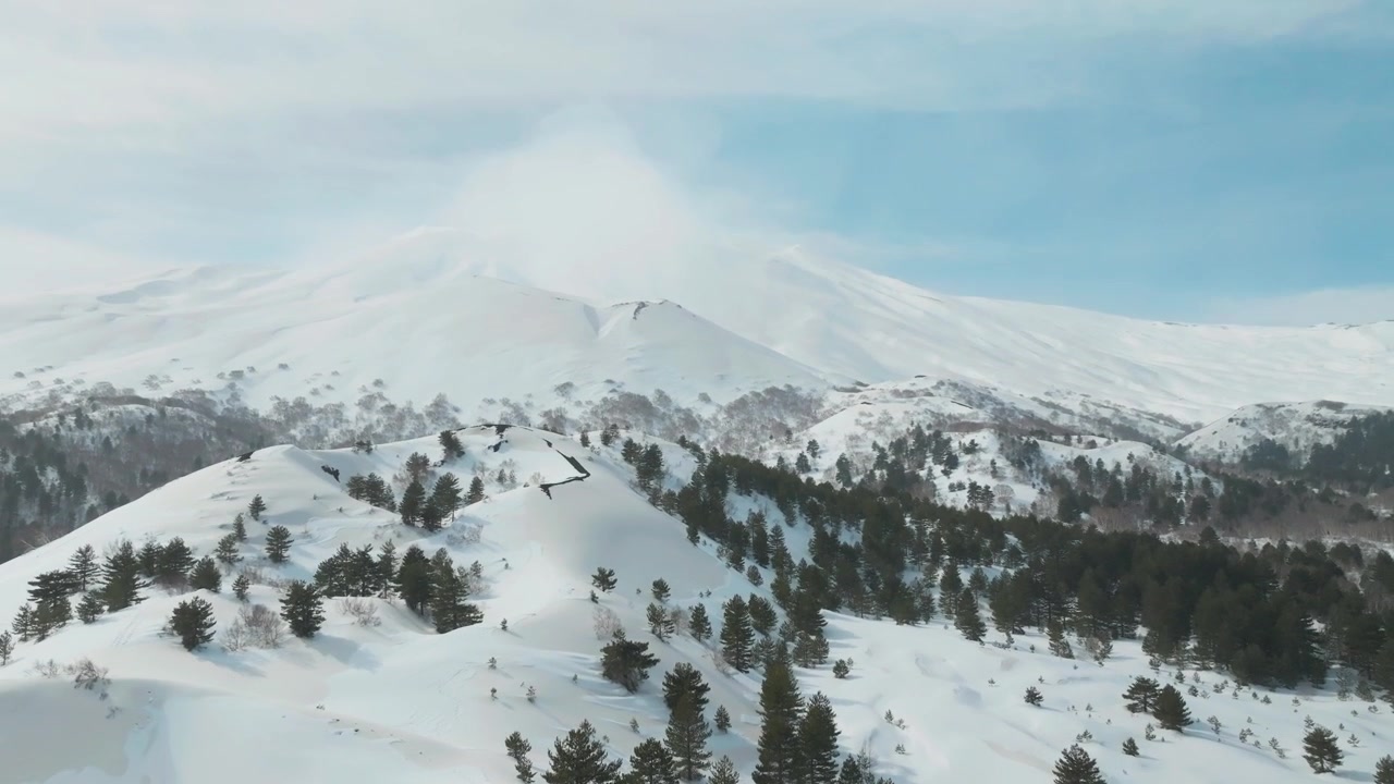 Aerial view of pine trees on snowy Mount Etna in Sicily, showing vast landscapes and mountain ridges.