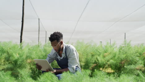 agriculture, greenhouse and farmer with tablet