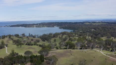 hermosa toma de seguimiento de vista total en la costa de australia cerca de victoria