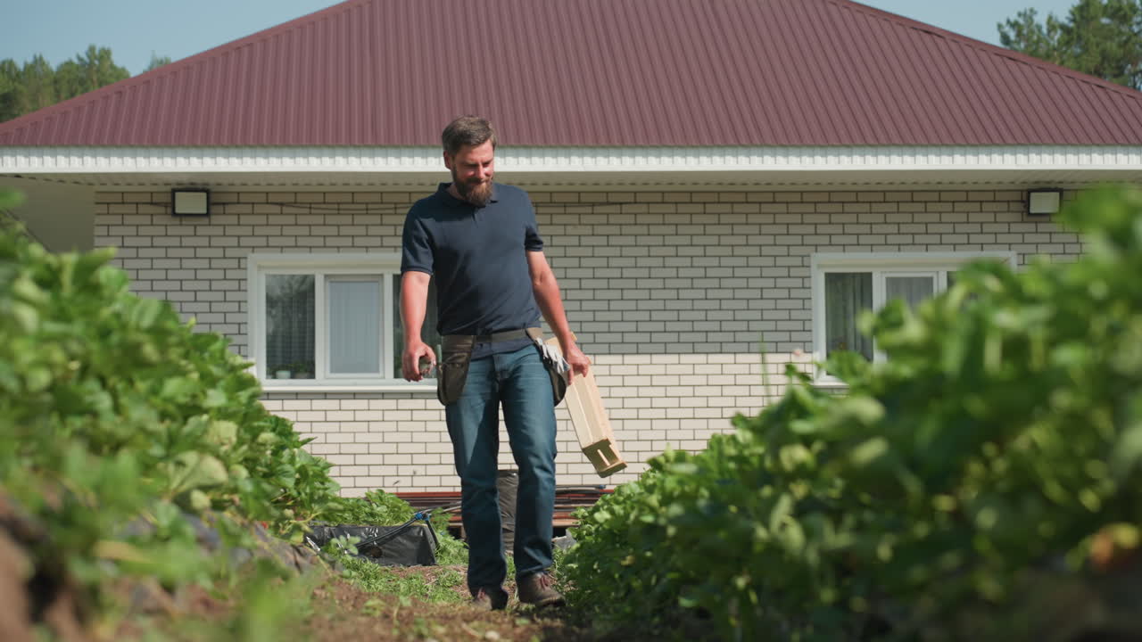 farmer walking through green crop rows carrying crate while inspecting farm health near brick house on sunny day showing care for plants and rural agriculture