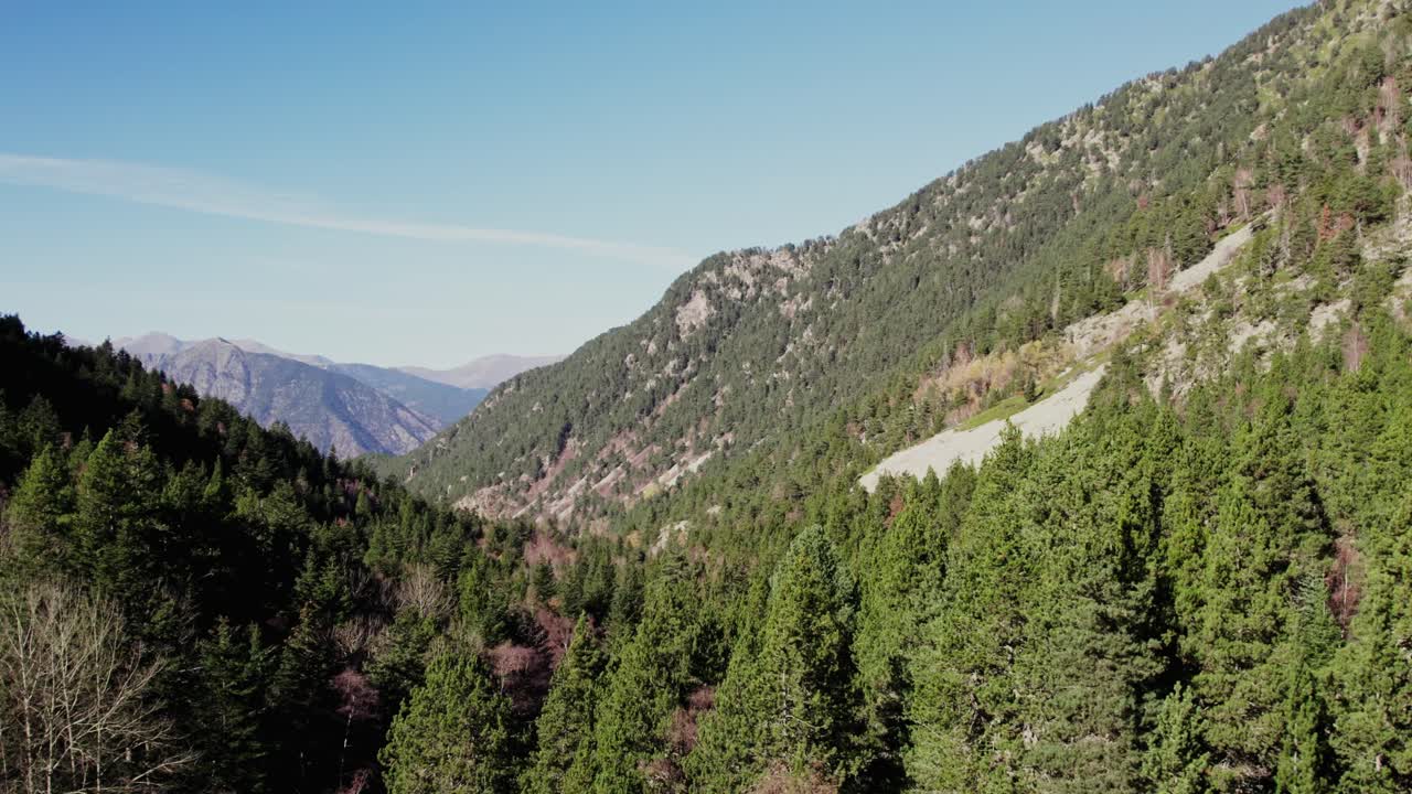 aéreo sobre el valle de la montaña del bosque de pinos durante el día