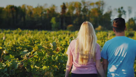 Junges-Paar,-Das-Im-Weinberg-Spazieren-Geht-Und-Zu-Orten-Der-Weinproduktion-4k-Video-Reist