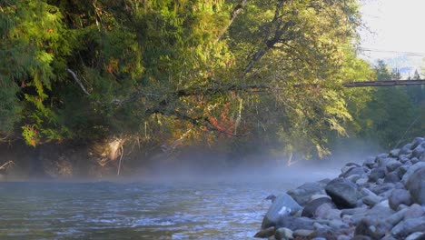 río de niebla en un parque forestal de otoño