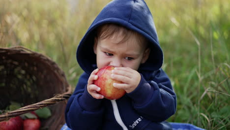 beautiful one year old toddler in hood eating big red apple. baby tries to bite a fruit and drops it. little child resting in the nature.