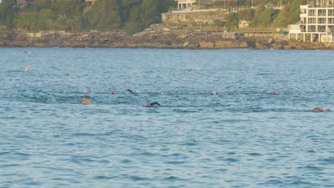 slow motion swimmers in ocean waters of sydney, australia