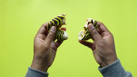 manos sosteniendo un chocolate a rayas y una rosquilla amarilla