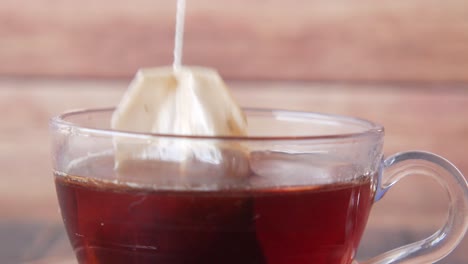 brewing tea with tea bag