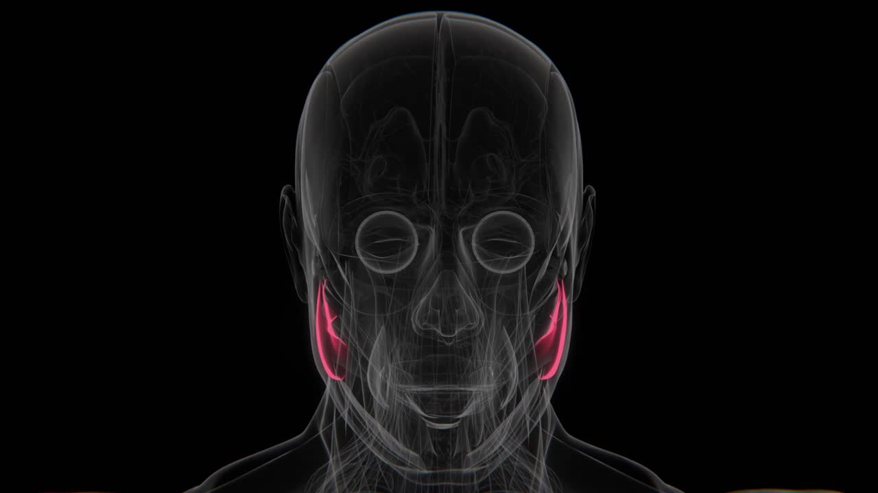 Salivary Gland Cancer in Vertical HQ Video | Salivary Gland Cancer Indication X-Ray HD Video