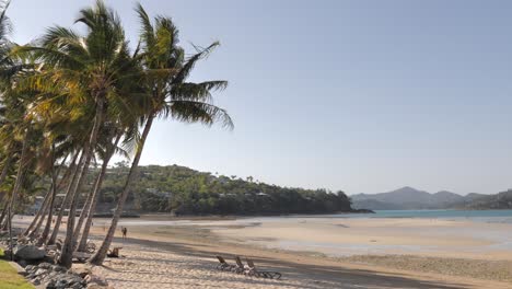 la famosa playa de catseye en la isla de hamilton, queensland, australia
