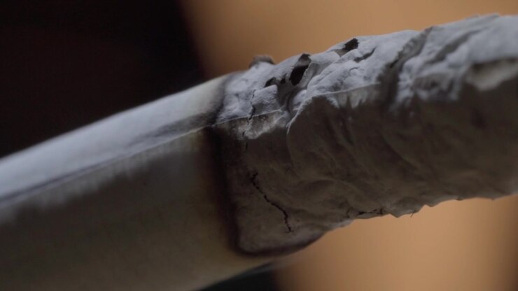 Close up of burning cigarette showing damaged paper and exposed tobacco near the lit edge. Fine ash and rough fibers revealing smoking detail against a softly blurred background.