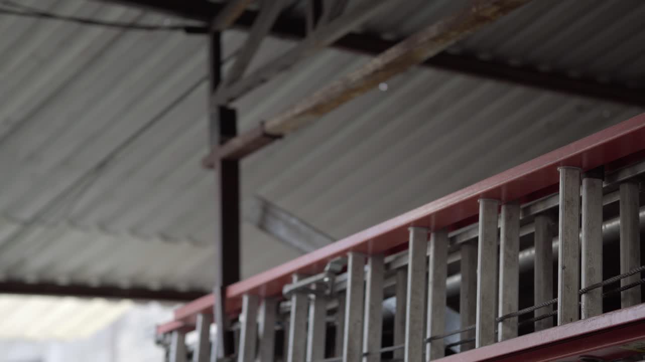 Aluminum ladder hanging inside an industrial hall, fixed under a metal beam with soft indoor light and factory atmosphere
