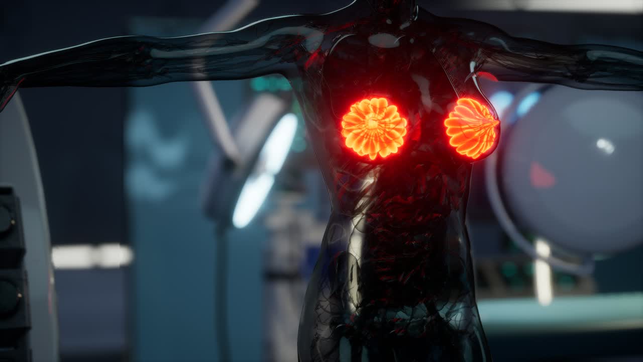 여성 유방 의 의학적 검사